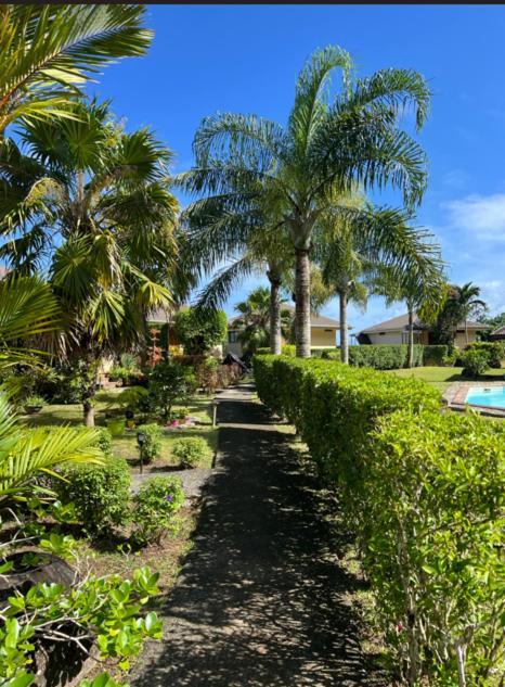 Bungalow Tiare Uturoa Extérieur photo